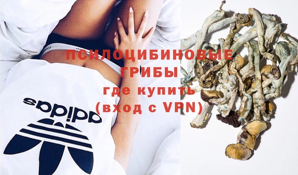 ALPHA PVP Алзамай