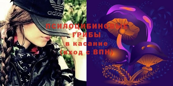 дживик Алексеевка